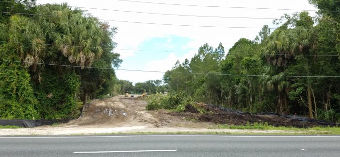 crystal river, corruption, citrus gazette Letter to the Editor: Stop allowing Crystal River to be destroyed