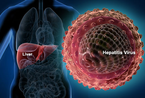 hepatitis A, citrus county news,