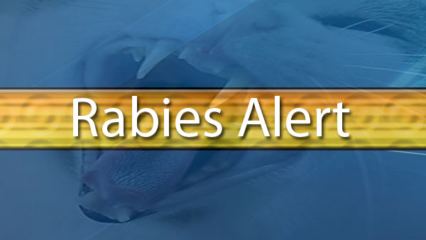 rabies alert, citrus county, citrus gazette