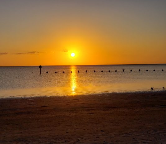 Fort Island Gulf Beach and Hernando Park remain closed Fort Island Gulf Beach, citrus gazette, citrus county news