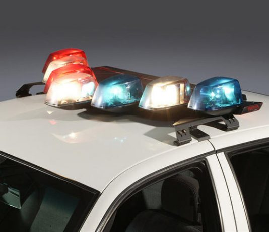 citrus county, citrus gazette, homeless