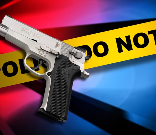 Deputies searching for man who fired shots off of West Park Drive in Homosassa citrus gazette, shooting, crystal river, homosassa