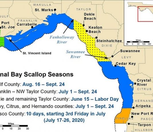 scallop season, citrus gazette