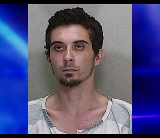 citrus gazette, aggravated battery, police officers, russia