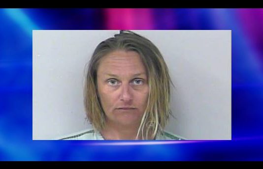 sex toy, florida woman, citrus gazette