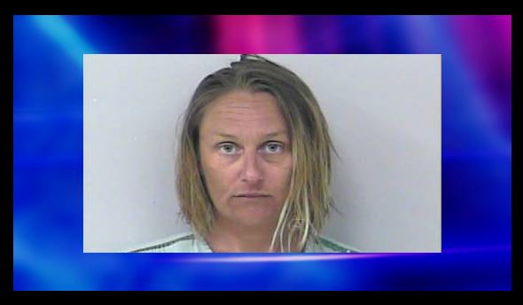 sex toy, florida woman, citrus gazette