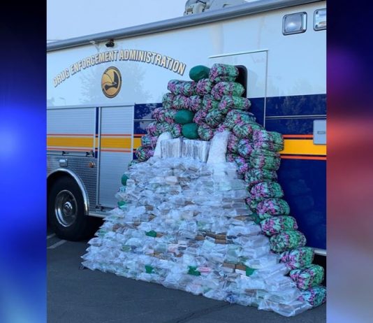 citrus gazette, dea, mweth bust, sams club