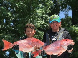 citrus gazette, red snapper, gulf fishing, crystal river news