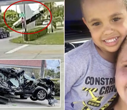 VIDEO: Plane crashes into SUV in Florida, kills three