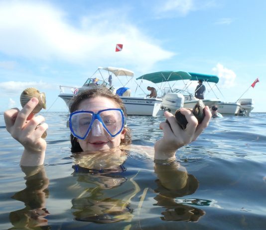 Bay scallop season opens July 1 for certain counties scalloping, citrus gazette, crystal river