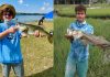 citrus gazette, fishing