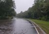citrus gazette, turkey oak flood