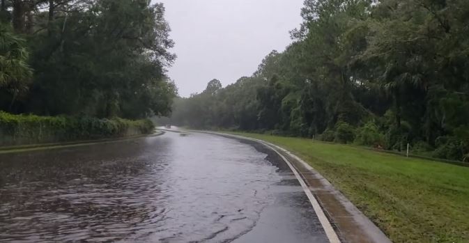 citrus gazette, turkey oak flood