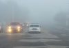 fog, citrus county, citrus gazette