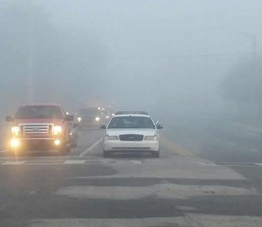 Dense fog advisory: Drive with your headlights on; it’s the law fog, citrus county, citrus gazette