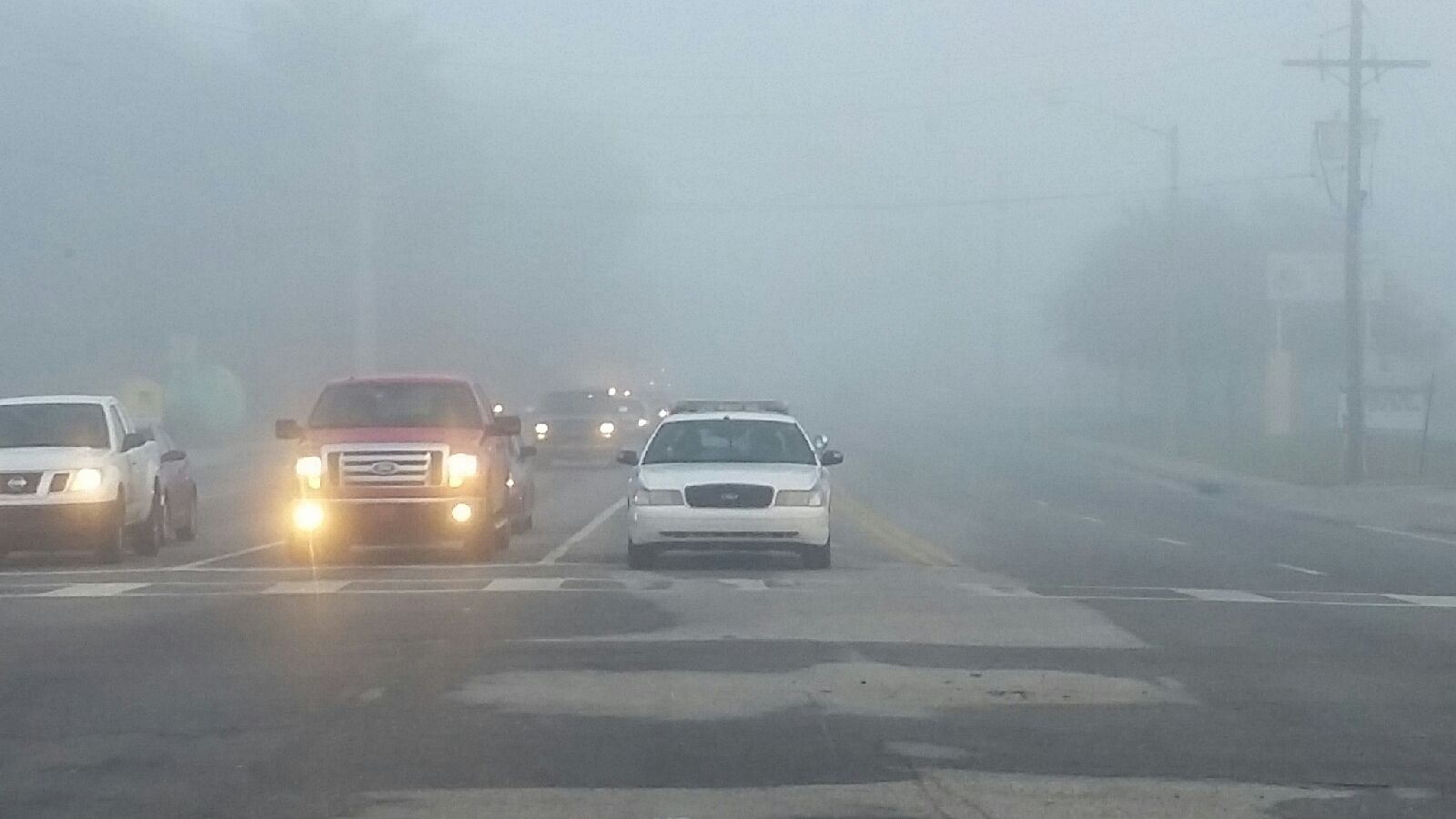 fog, citrus county, citrus gazette